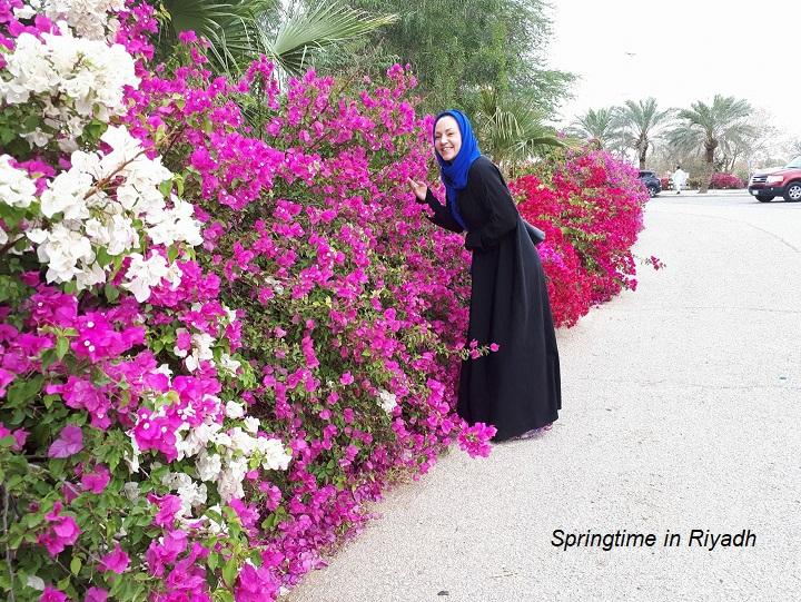 Spring time in Riyadh